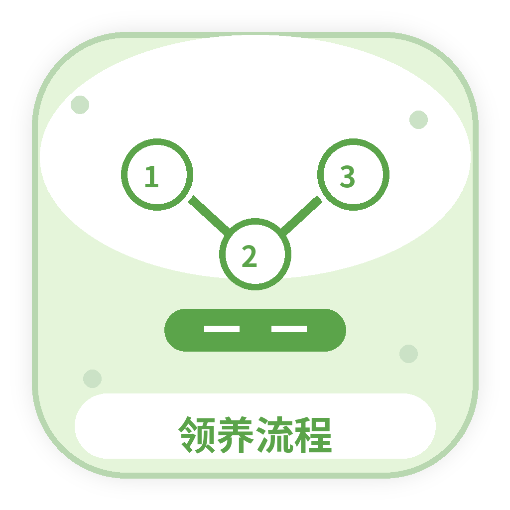领养流程